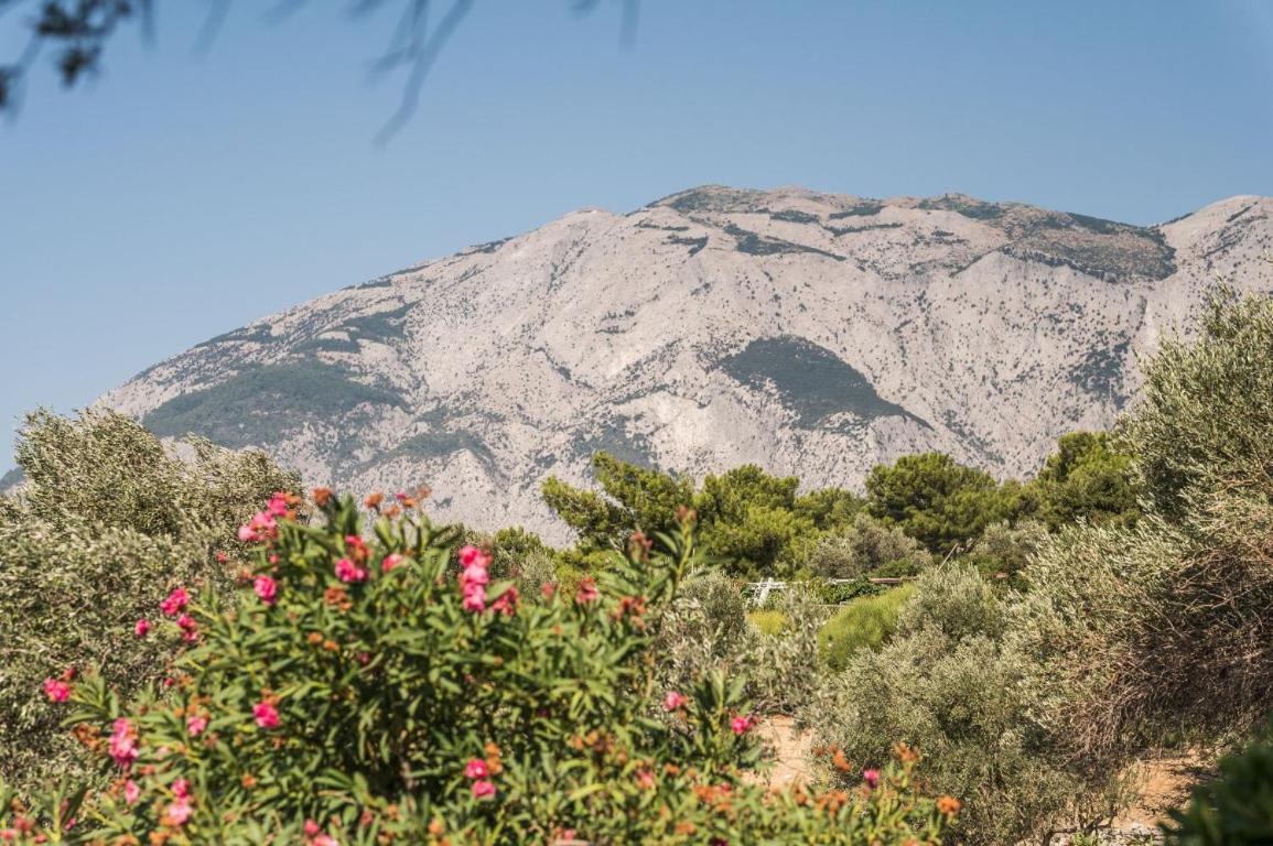 Vigla-Βίγλα 1 2 Βίλα Όρμος Μαραθοκάμπου Εξωτερικό φωτογραφία