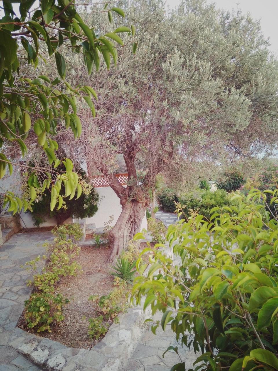 Vigla-Βίγλα 1 2 Βίλα Όρμος Μαραθοκάμπου Εξωτερικό φωτογραφία